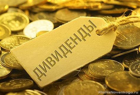 Выплата дивидендов в валюте нерезиденту: ограничения и особенности