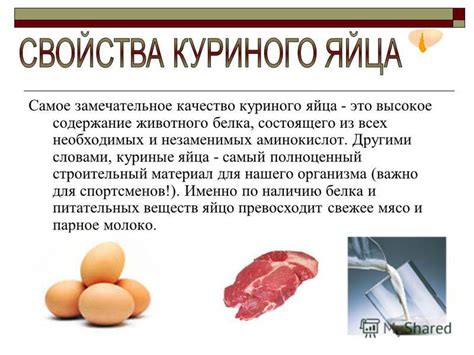 Высокое содержание незаменимых веществ