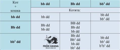 Генетика окраса котят сфинксов