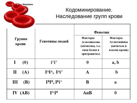 Генетический механизм передачи группы крови
