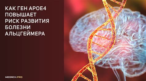 Генетический фактор в росте