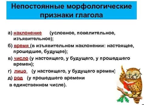Глядеть - особенности и значения глагола