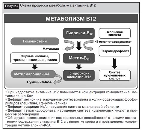 Группы риска для дефицита железа и витамина С
