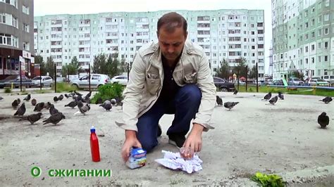 Действующее законодательство о сжигании веток