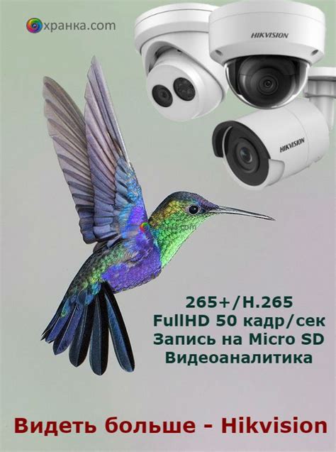 Детализация и четкость