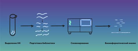 Добавление специальных ферментов