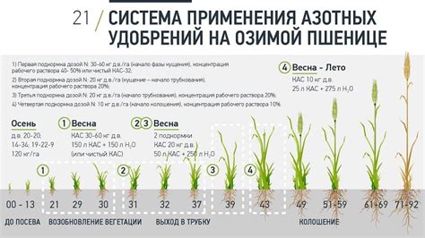 Дозировка удобрений