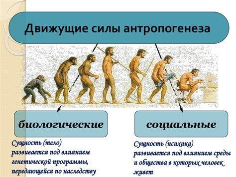 Доказательства эволюционного происхождения
