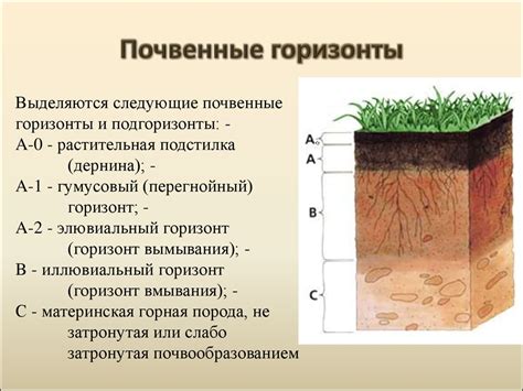 Дополнительные полезные свойства для почвы