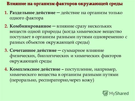Дополнительные преимущества и действие на организм