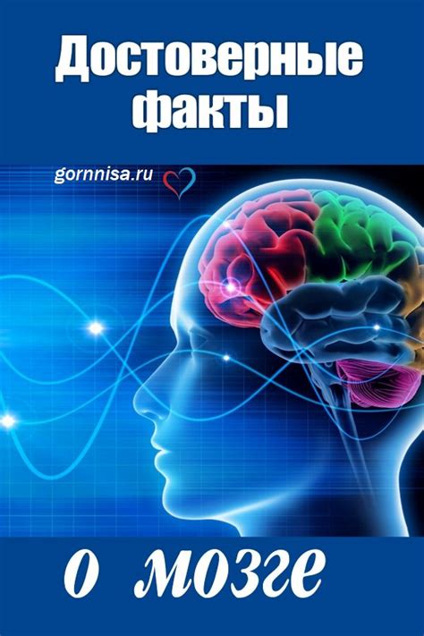 Достоверные факты