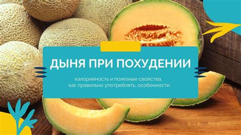 Дыня и калорийность