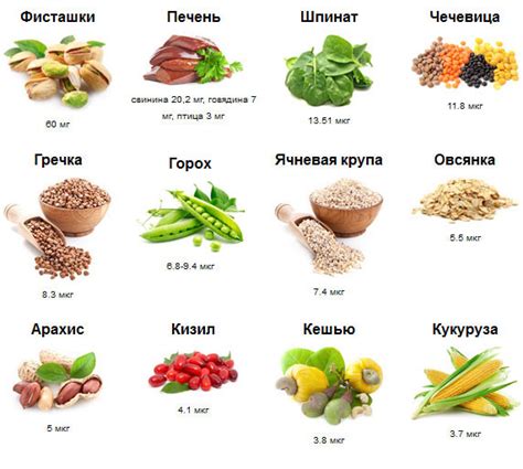 Железо в крови: связь с вкусовыми ощущениями