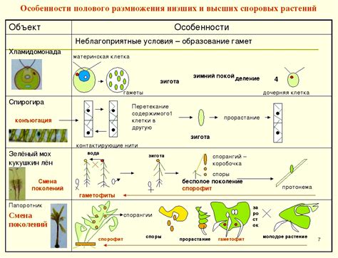 Жизнеспособность растений