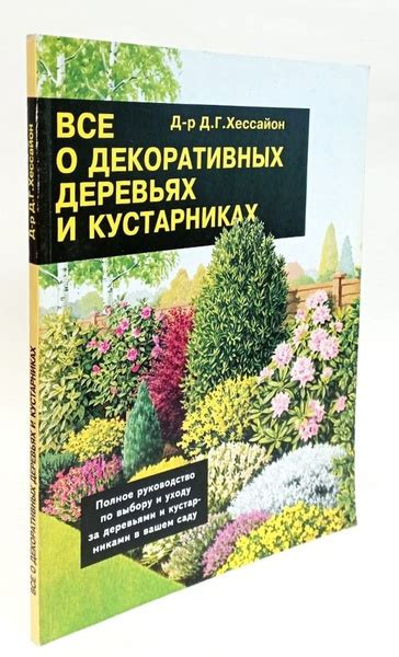 Забота о пересаженных деревьях и кустарниках