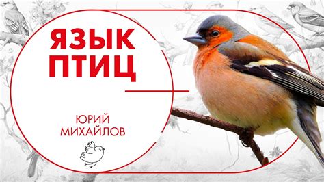 Загадочный язык птиц