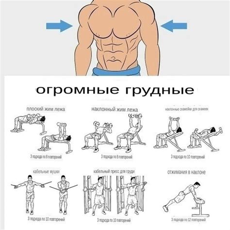 Загрузка различных групп мышц