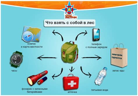 Запрещенные продукты: что нельзя взять с собой на борт