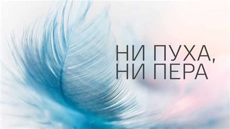 Запятая после "ни пуха ни пера" в приветствии или прощании