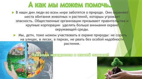 Защита окружающей среды: как мусор влияет на природу