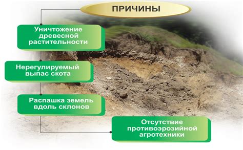 Защита почвы от эрозии при использовании горчицы