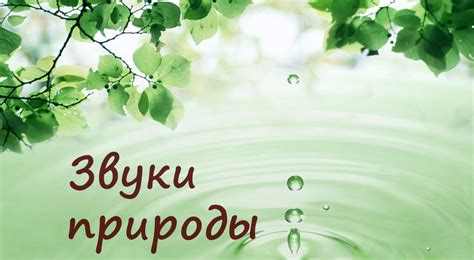 Звуки музыки в окружении природы: музыкальное оформление сада и огорода