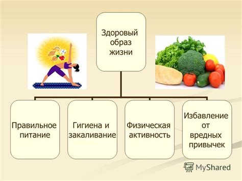 Здоровый образ жизни: питание, физическая активность и умственное развитие