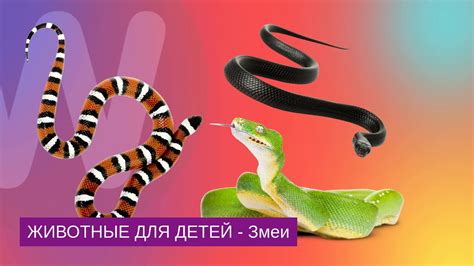 Змеи: звуки и их значение