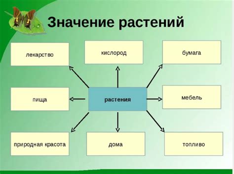 Значение для человека