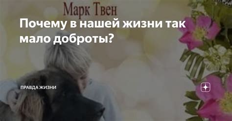 Значение доброты в нашей жизни