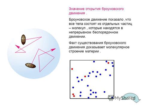 Значение наблюдения броуновского движения в невесомости в научных исследованиях