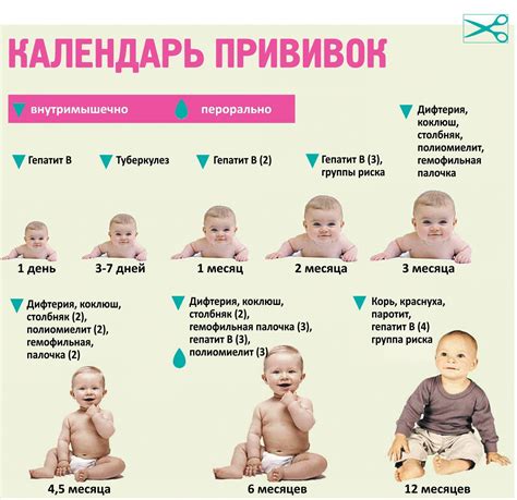 Значение прививок для ребенка до года