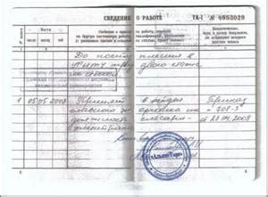 Значение пустых страниц в трудовой книжке работника