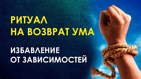 Избавление от бытовых хлопот