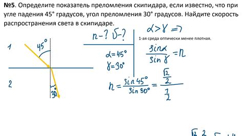 Избегаем прямого солнечного света: как найти тень для фикуса