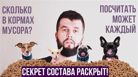 Ингредиенты в составе