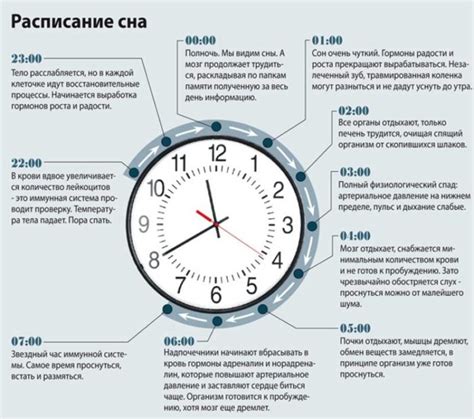 Искушение сна: как не устать во время строгого поста