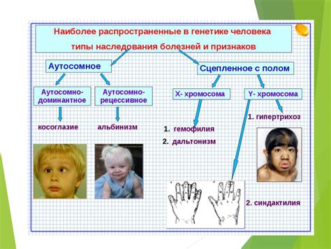 Исследование влияния эмоциональности на наследственные черты человека