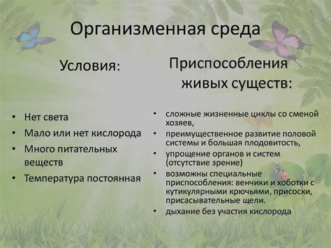 Исследования о растениях в организменной среде обитания