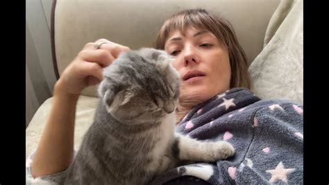 История и причина моего ухода из-за щенка