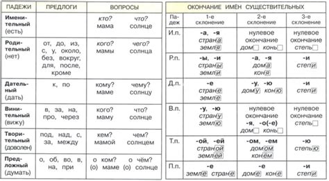 История развития падежей в русском языке
