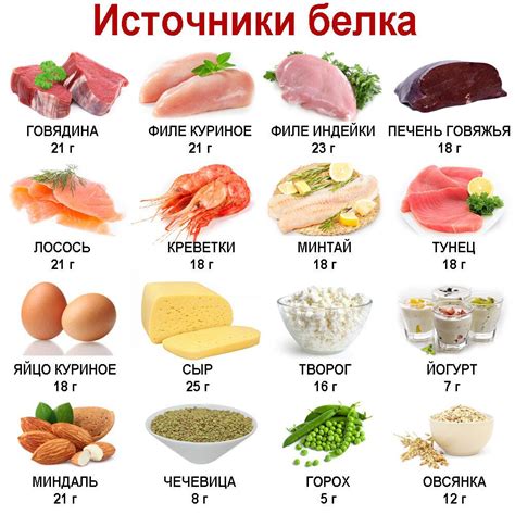 Источник белка