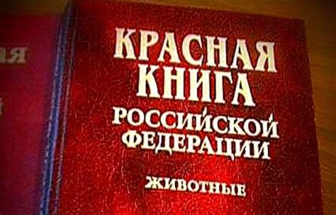 Какие виды включены в Красную книгу