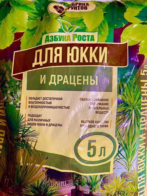Какие материалы включают грунт для драцены и кактусов