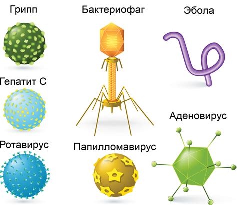 Какие типы вирусов могут быть "спрятаны" в файле rar