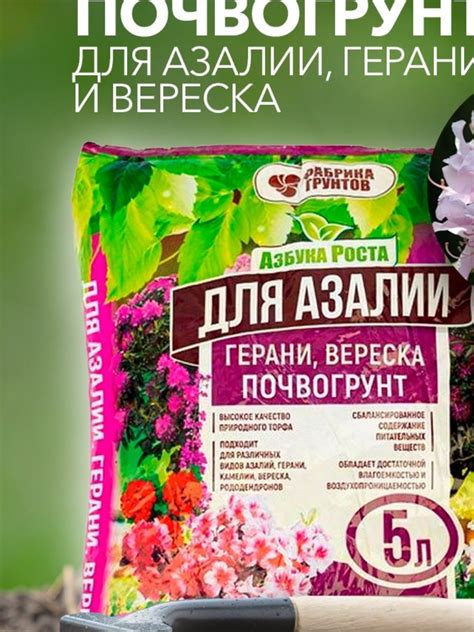 Какой грунт подойдет для азалии