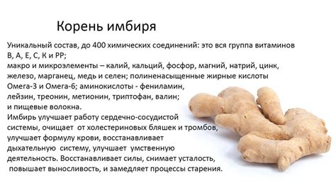 Какой имбирь использовать и как его готовить