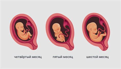 Как влияет на успех беременности