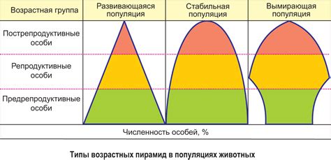 Как влияет поколение на возрастные различия