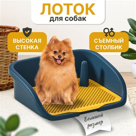 Как выбрать подходящую пеленку для собаки